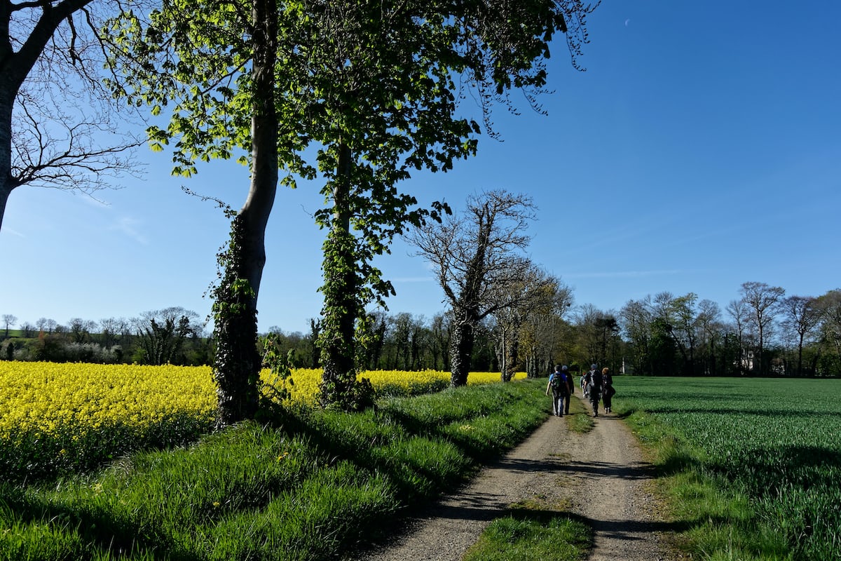 Walk With Ease: Kickstarting A Walking Routine-Sunnystep-The most comfortable walking shoes-Best walking shoes