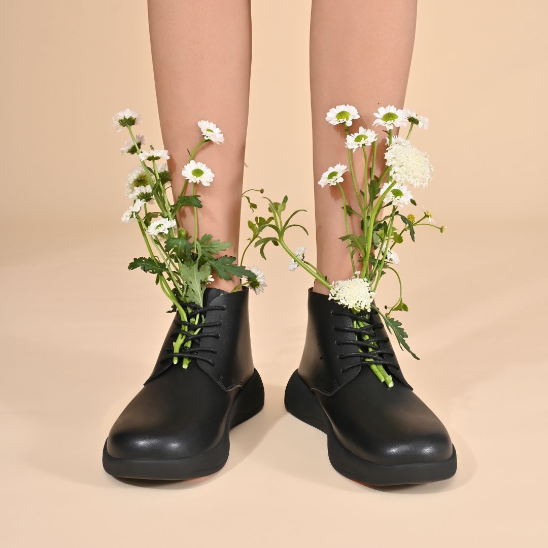 Balance Collection