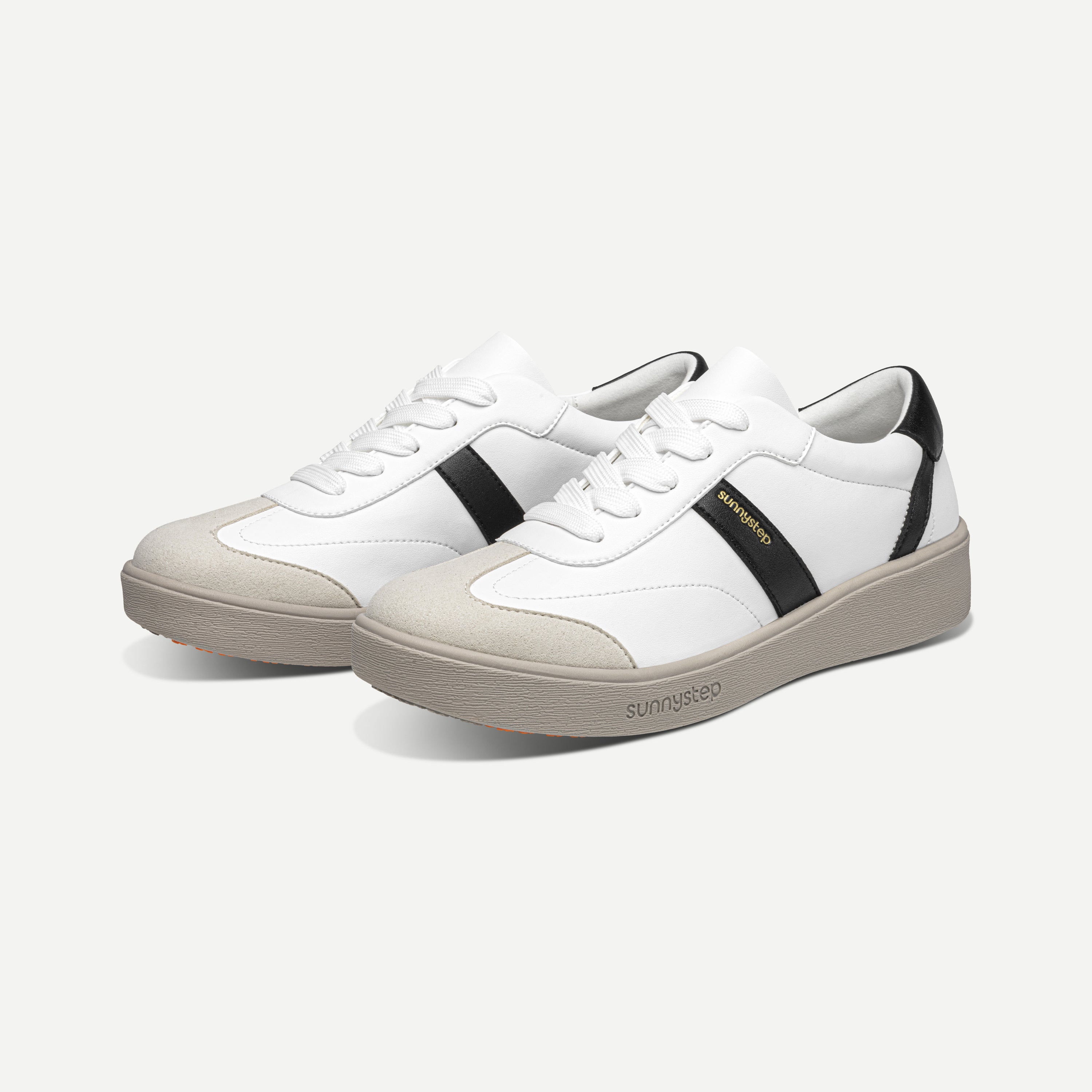 Dream Sport Trainer