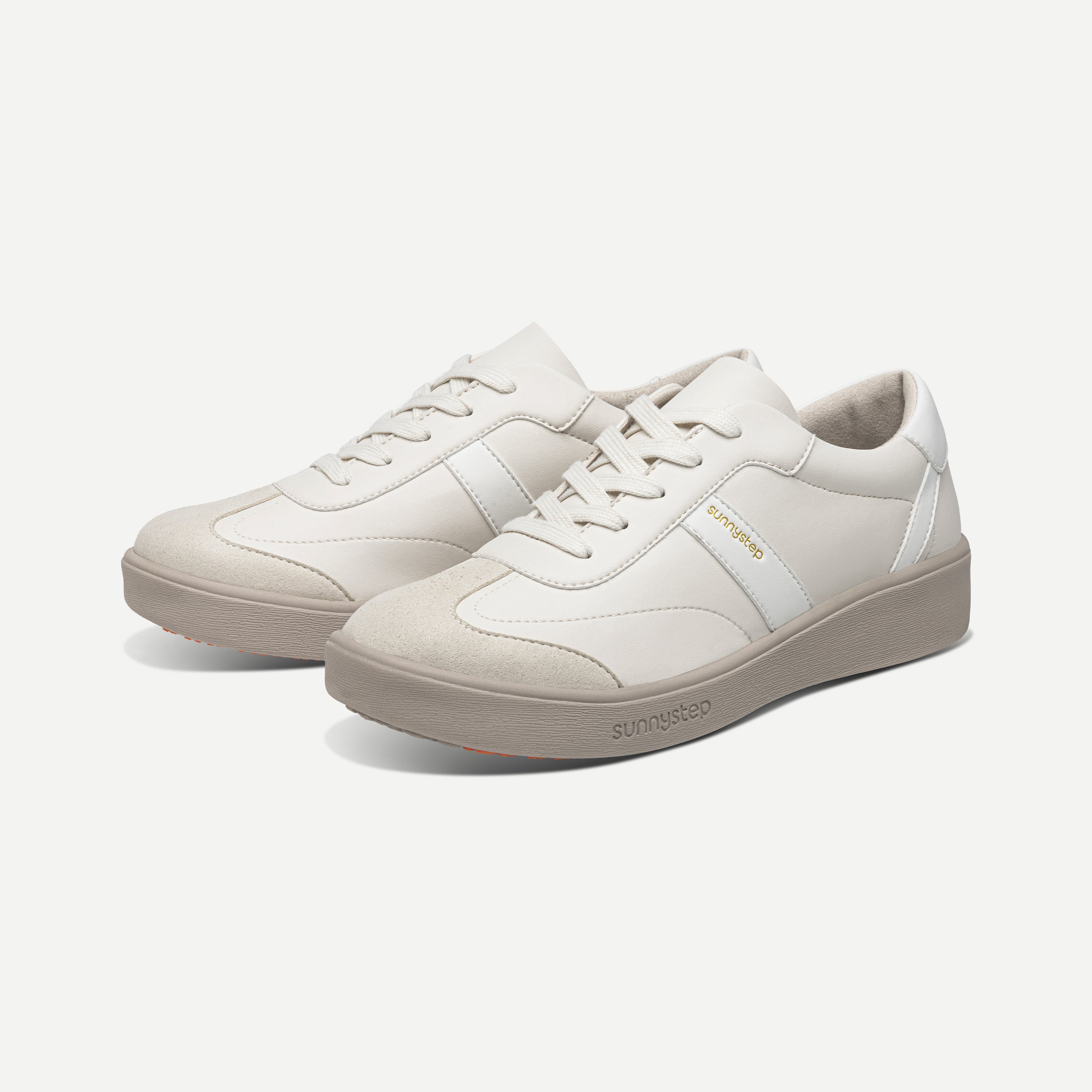 Dream Sport Trainer