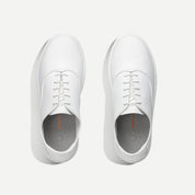 Dream Lite Oxford